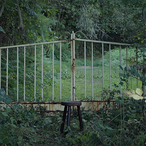 Foto Tres hombres no pueden ocultarse bajo la tapa de un puchero