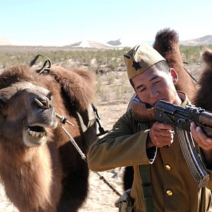 Foto On the Way to South