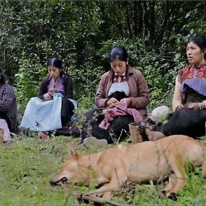 Foto Formas de atravesar un territorio