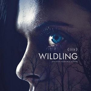 Foto Criaturas nocturnas