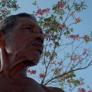 Foto Positivo Negativo