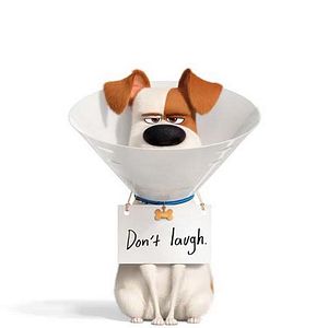 Foto La vida secreta de tus mascotas 2