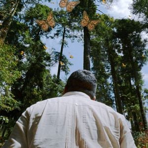 Foto El guardián de las monarcas