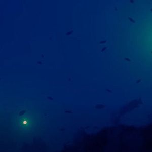 Foto Deep Hope, le dernier refuge