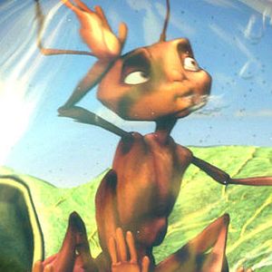 Foto Antz: Hormiguitaz