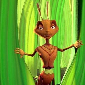 Foto Antz: Hormiguitaz