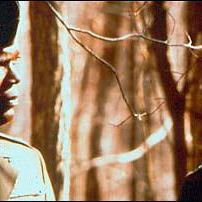 Foto Samuel L. Jackson