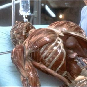 Foto El hombre sin sombra