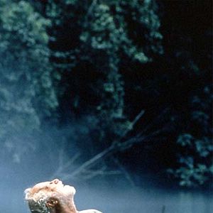 Foto Richard Dreyfuss