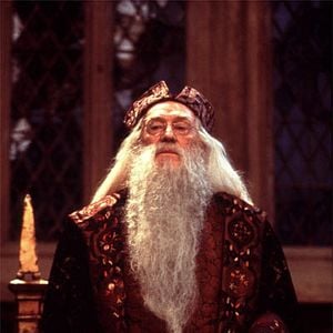 Foto Harry Potter y la piedra filosofal