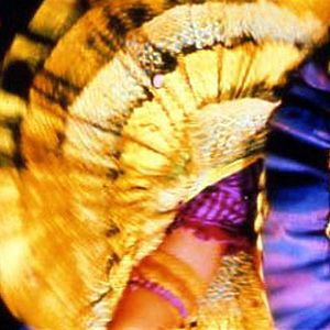 Foto Moulin Rouge: Amor en rojo