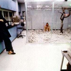 Foto Naturaleza humana