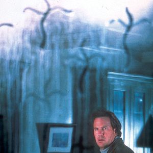 Foto El misterio de la libélula