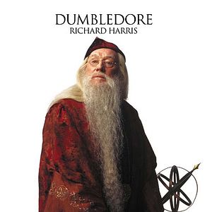 Foto Harry Potter y la cámara secreta