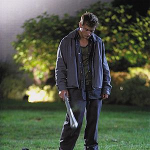 Foto El efecto mariposa