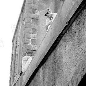 Foto La pandilla salvaje