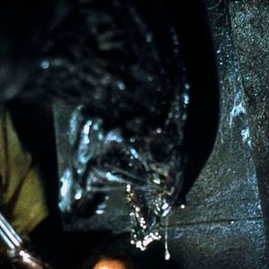 Foto Alien vs. Predator