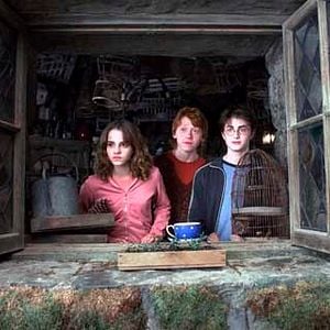 Foto Daniel Radcliffe