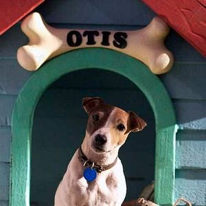 Foto La Máscara 2: El Hijo de la Máscara