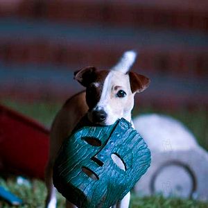Foto La Máscara 2: El Hijo de la Máscara
