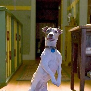 Foto La Máscara 2: El Hijo de la Máscara