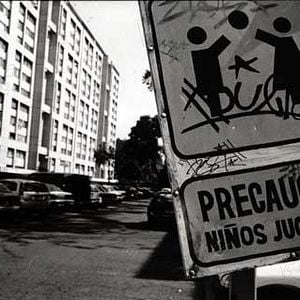 Foto Temporada de patos