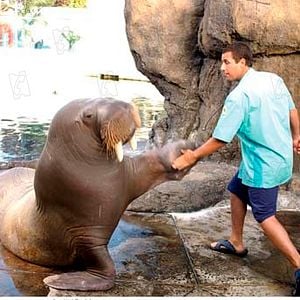 Foto Como si fuera la primera vez