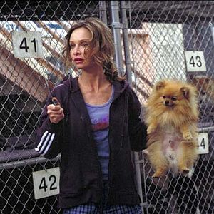 Foto Matthew Broderick