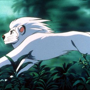 Foto Jungle Emperor Leo