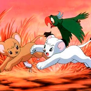 Foto Jungle Emperor Leo