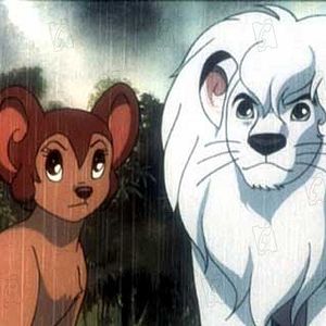 Foto Jungle Emperor Leo