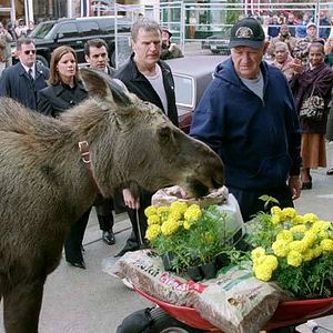 Foto Marcia Gay Harden