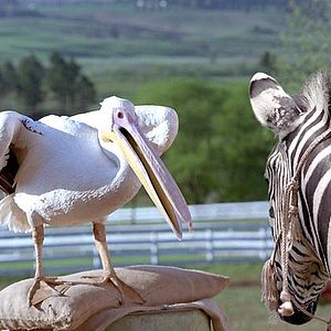 Foto Frederik Du Chau