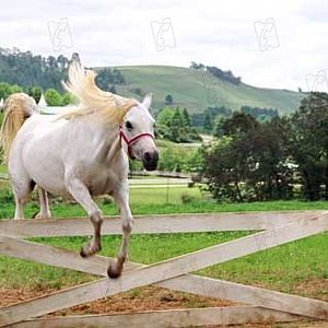 Foto Frederik Du Chau