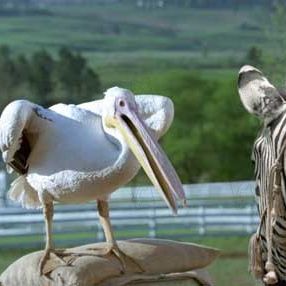 Foto Frederik Du Chau