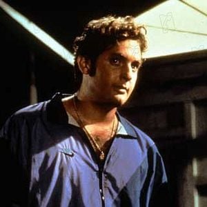 Foto Perros de reserva