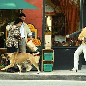 Foto Las exnovias de mi novio