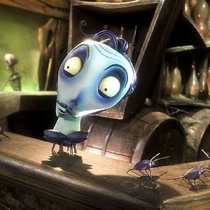 Foto El cadáver de la novia