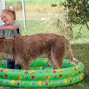 Foto AnnaSophia Robb