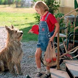 Foto AnnaSophia Robb