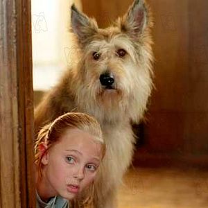 Foto AnnaSophia Robb