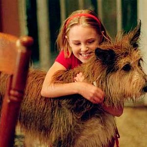 Foto AnnaSophia Robb