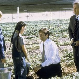 Foto Los expedientes secretos X