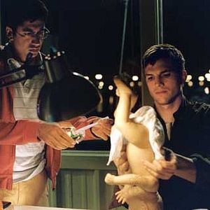 Foto Muy parecido al amor