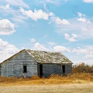 Foto Secreto en la montaña