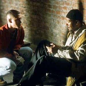 Foto Rent: Vidas extremas