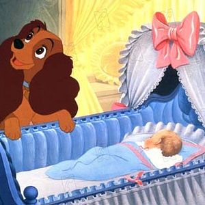 Foto La dama y el vagabundo