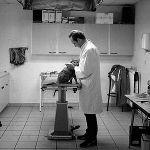 Foto Benoît Poelvoorde