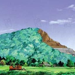 Foto La guerra de los mapaches