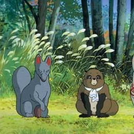 Foto La guerra de los mapaches